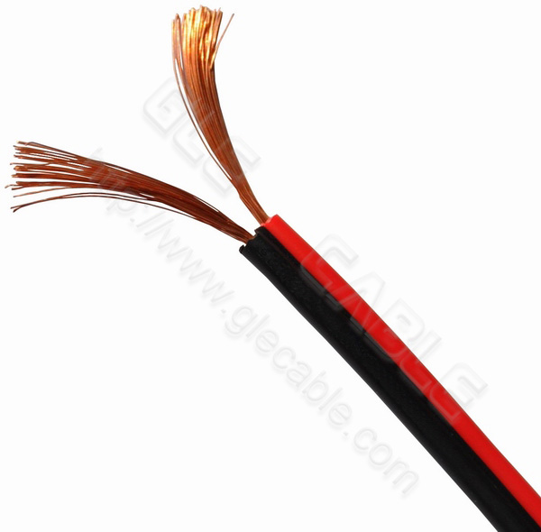 Black & Red speaker wire